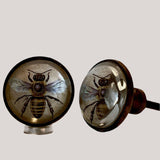 Lifelike Honey Bee Cabinet Knobs Under Clear Dome 1.50 Inch-Dwyer Home Collection