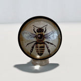 Lifelike Honey Bee Cabinet Knobs Nested Under Clear Dome 1.50 Inch-Dwyer Home Collection