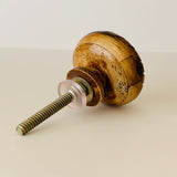 Swirl Design On Carved Bone Cabinet Knobs Dresser Drawer Pulls 1.5 Inch-Dwyer Home Collection